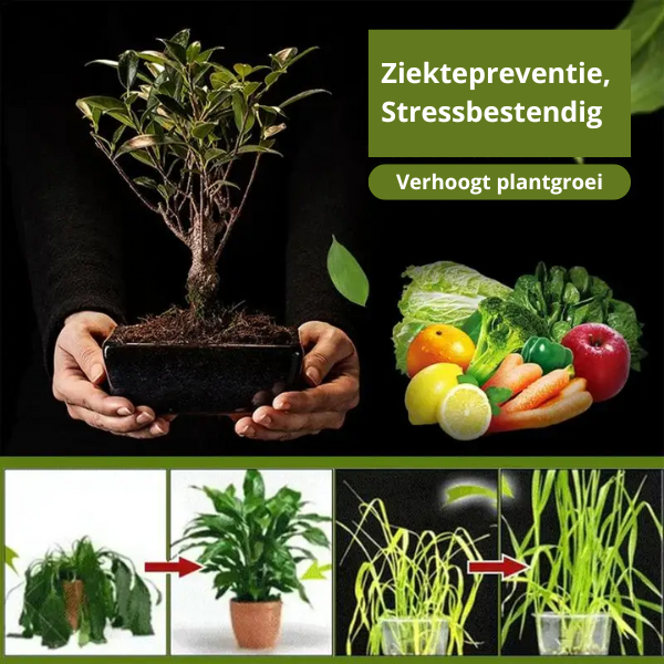 1+2 GRATIS - Groen Groeier™ - Voeding voor bodem en plant